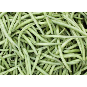 Haricot vert par 500g