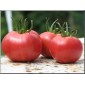 Tomate variété ancienne au kg