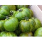 Tomate variété ancienne au kg