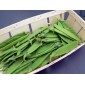 Pois mange tout par 500g