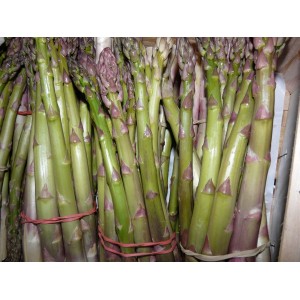 Asperge