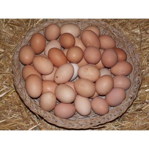 6 œufs extra-frais plein air