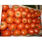 Tomate vrac